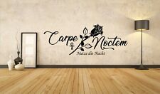 Carpe noctem nutze gebraucht kaufen  Reisbach