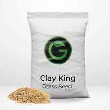 Clay king grass for sale  CHESTER