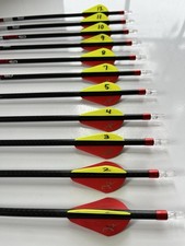carbon express for sale  Williston