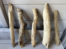 Chunky driftwood pieces for sale  CLACTON-ON-SEA