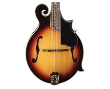 Washburn m3swk americana for sale  Winchester