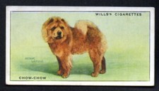 Chow chow 1937 for sale  Spartanburg