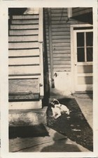 Snapshot vintage photo for sale  Arvada