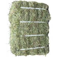 Organic ryegrass timothy for sale  UK