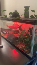 Ball python enclosure for sale  Vancouver