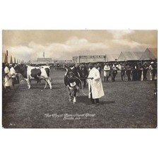 Bristol royal agricultural for sale  GLASGOW
