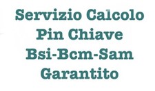 Servizio clonazione bsi usato  Italia