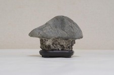 Suiseki viewing stone d'occasion  Expédié en Belgium