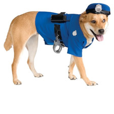 Rubie 885945x costume usato  Roccagloriosa