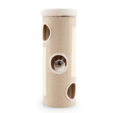 Barrel shaped kitten for sale  IPSWICH