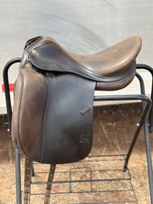 Prestige top dressage for sale  Dove Creek