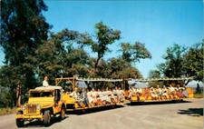 Cartão postal Arboretum Jeep Trains Califórnia década de 1950 Ralph D Cornell Columbia comprar usado  Enviando para Brazil