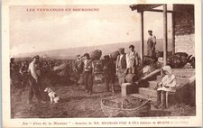 Beaune vendanges domaine d'occasion  France