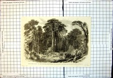 Old great south for sale  UK