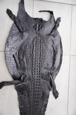 Black genuine crocodile for sale  USA