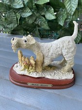 welsh terrier for sale welsh terrier for sale CARDIFF
