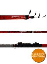 Canna globe fishing usato  Terracina