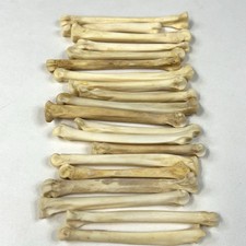 Lot real taxidermy for sale  Waseca