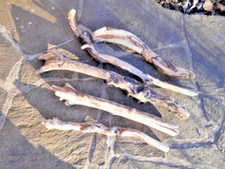 holzfiguren basteln gebraucht kaufen holzfiguren basteln gebraucht kaufen Riedering