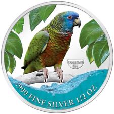 2023 cameroon amazon for sale  USA