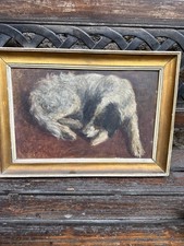 Dipinto antico cagnolino usato  Grottaferrata
