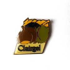Pin clairgel chataignes d'occasion  Melesse