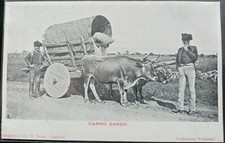 1900 carro sardo usato  Milano