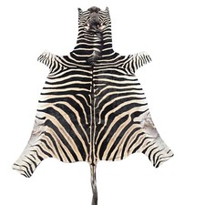 Real zebra skin for sale  Champlain