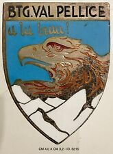 Alpini battaglione val usato  Milano