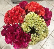 150 sementes Celosia Cristata Mix / sementes de pente de galo **orgânicas ** Grátis P/H comprar usado  Enviando para Brazil