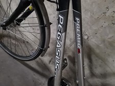 Top pegasus premio gebraucht kaufen  Schorndorf