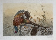 Color engraving signed d'occasion  Expédié en Belgium