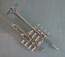 Piccolo trompete trompete gebraucht kaufen  Brieselang