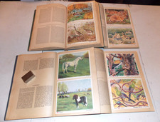 Sammelalben alben voss gebraucht kaufen  Koblenz