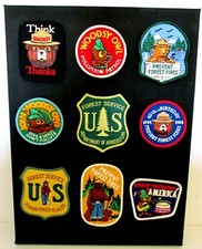 Forest service fire for sale  Gainesville
