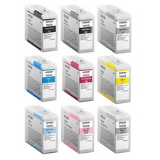 Cartuccia originale epson usato  Campagna