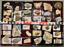 Konvolut mineralien sammlung gebraucht kaufen  Limburg a. d. Lahn