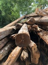Travi legno antiche usato  Cison di Valmarino