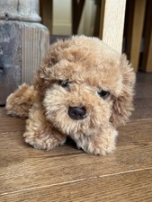Cockerpoo inches signature for sale  DORKING