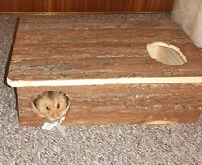 Hamster maze trixie for sale  WOLVERHAMPTON