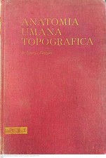 Anatomia umana topografica usato  Italia