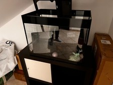 Acquario modello askoll usato  Paderno Dugnano