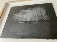 Limited edition serigraph for sale  STONE