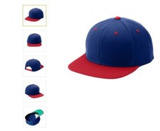 Nasa worm logo for sale  Kingston
