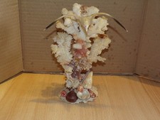 Corail blanc coquillage d'occasion  Ciry-le-Noble