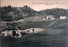 Cartolina antica bosco usato  Sirmione