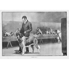 Cecil aldin beneath d'occasion  Expédié en Belgium