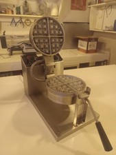 Gold medal belgian for sale  Saint Maries