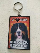 Porte clés chien d'occasion  Saint-Rambert-d'Albon