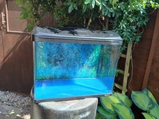 Used boyu fish for sale  NANTWICH